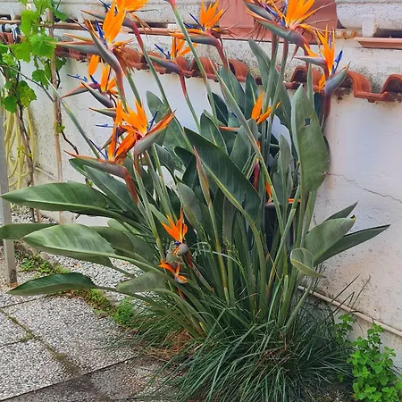 Romantische Am Mit Kamin Zoomarine Cinecitta World